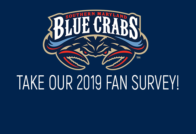 2019 Fan Survey